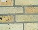 Fossilcut ™ Sawn Face Cream City Brick Veneer Tile Flecked Hand Molded Clay Sample